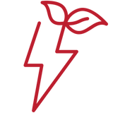 The Other Side of Coffee