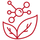 The Other Side of Coffee