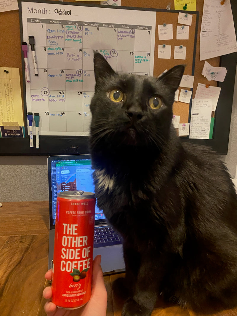 The Other Side of Coffee