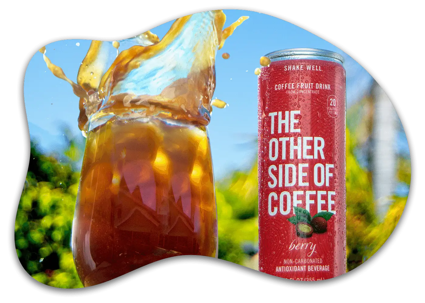 The Other Side of Coffee