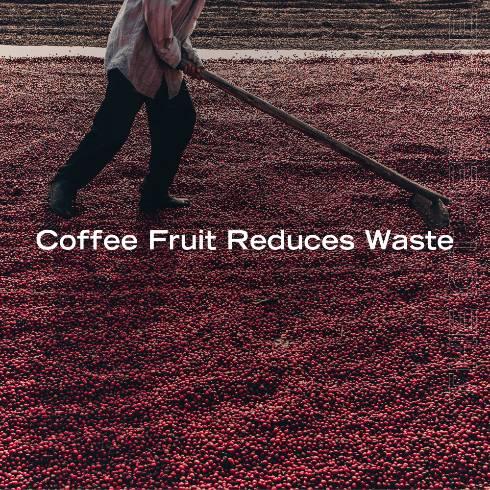 The Other Side of Coffee The First Fresh Coffee Fruit Juice